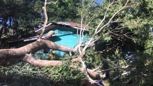 En cuestión de 24 horas Bomberos atendió 111 emergencias por frente frío