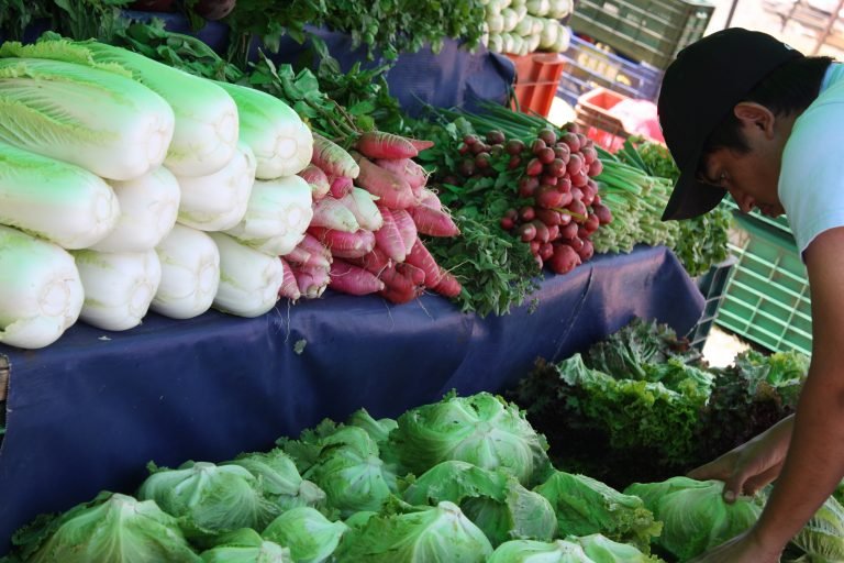 Pequeños productores se manifestarán contra proyecto del Gobierno que busca transferir las ferias al PIMA