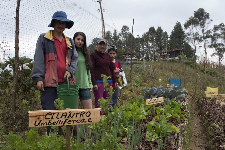 Apoyar a los agricultores familiares es clave para contar con dietas más saludables