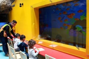 Nuevo dispositivo tecnológico ofrece diversión y educación sobre vida marina