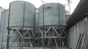 Cooparroz: ejemplo de organización y éxito