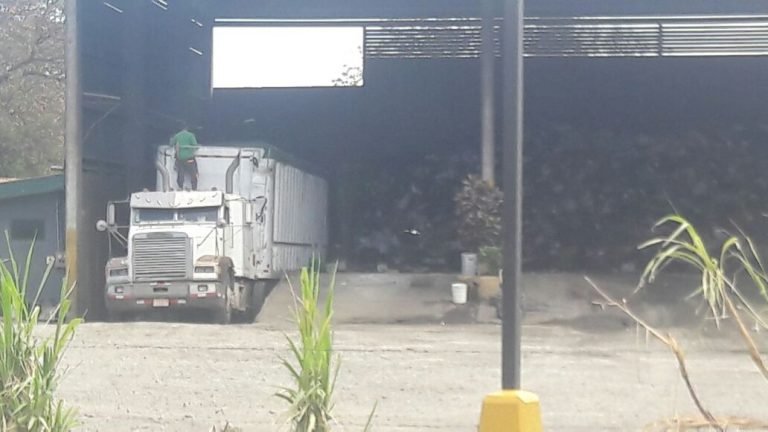 Persisten problemas con basura en Montecillos de Alajuela