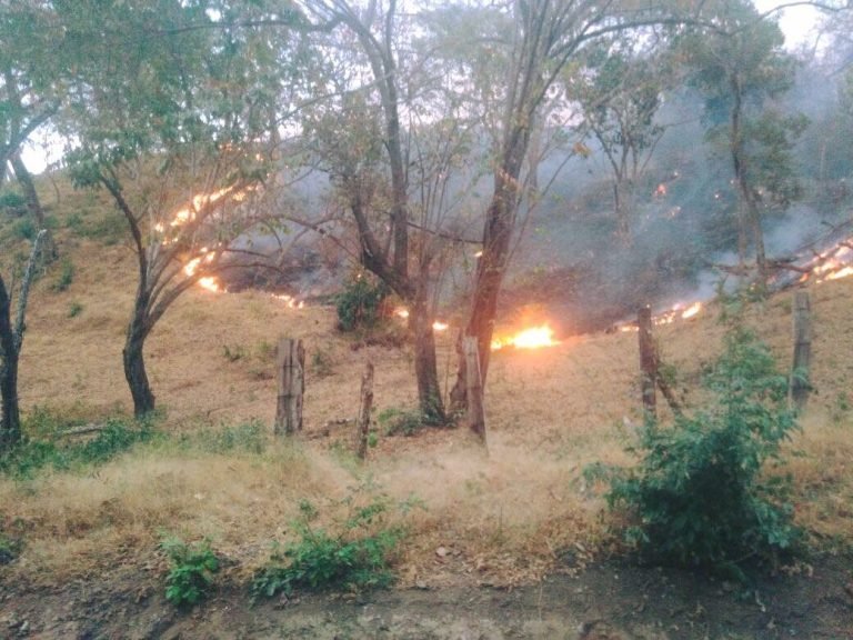 Bomberos llama a la prevención por posible aumento de incendios en Semana Santa