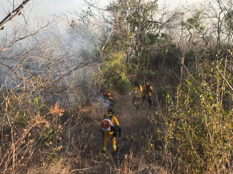 Inicia campaña 2021 “Un verano sin incendios forestales”