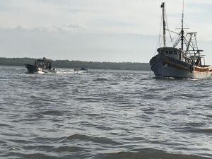 Gobierno cede ante presiones de pescadores industriales de arrastre y aleteo de tiburón, denuncia Fecon