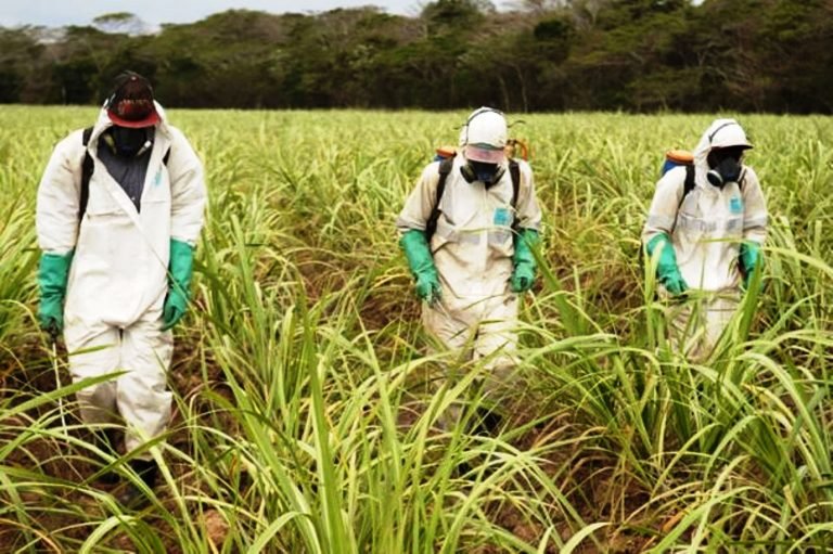 Seminario ofrecerá consejos para reducir impacto ambiental de herbicidas