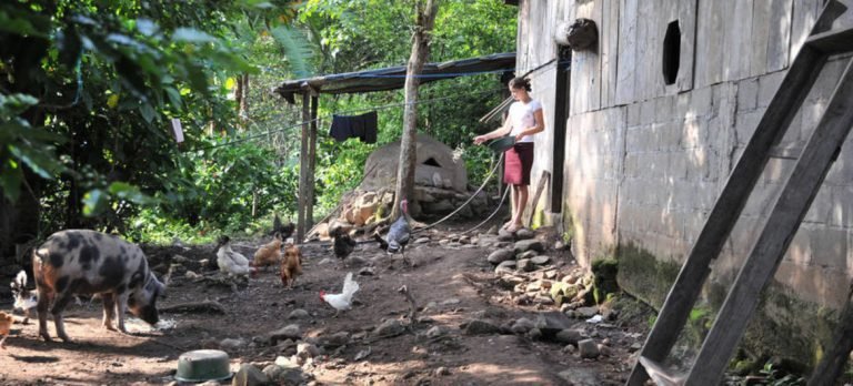 La erradicación de la pobreza y el hambre no se alcanzará en 2030