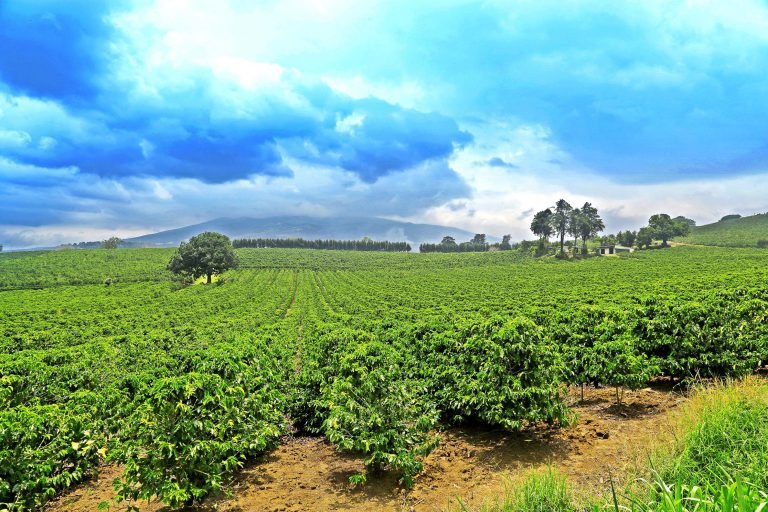 Promotora de Comercio de Costa Rica ocupa primer lugar en el mundo