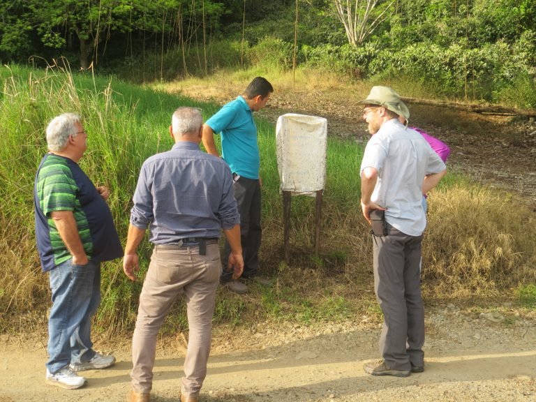 Expertos internacionales en “mosca del establo” se reúnen en Costa Rica