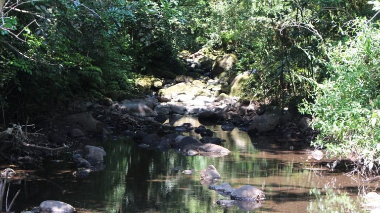 Más de 4000 personas se verán afectadas por la falta de agua en caudal superficial