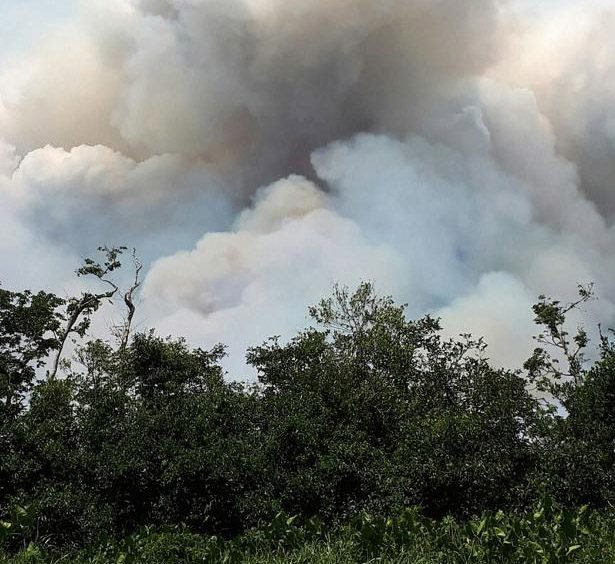 Incendio en Indio Maíz avanza al núcleo de la reserva