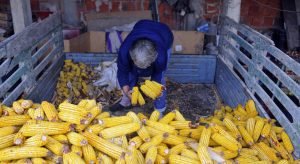 Un reto para acabar con el desperdicio de alimentos