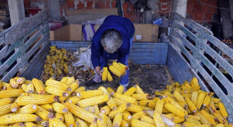 Un reto para acabar con el desperdicio de alimentos