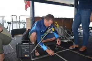 Estudiarán ruta de especies marinas migratorias entre las islas Galápagos e isla del Coco