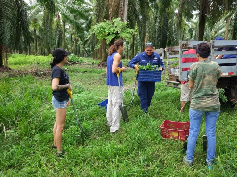 Guardacostas impulsa reforestación en cercanías del río Cañitas