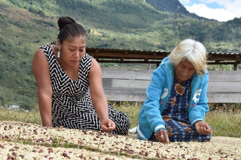 Mujeres de los pueblos Zapoteco, Maya Q’echi’ y Aymara ganan concurso de fotografía