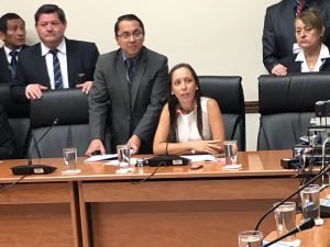 El control político