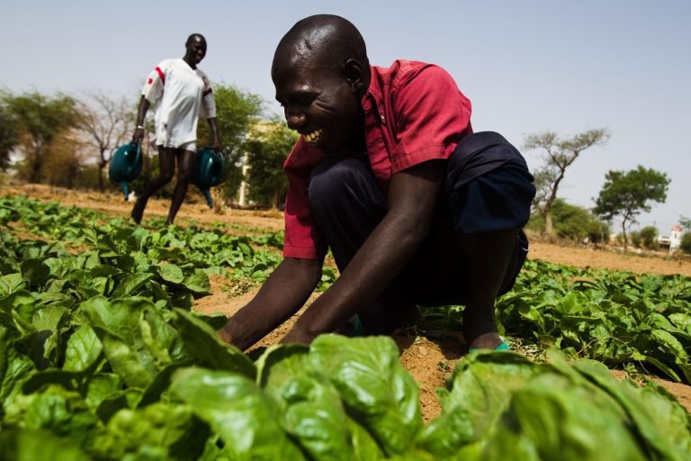 Diálogo con visión de futuro clave para regular migraciones en el Mediterráneo