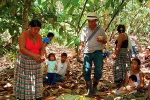 Catie es aliado de América Latina y el Caribe en la mejora del bienestar humano
