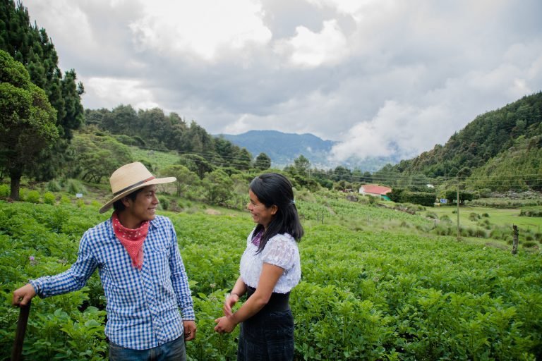 Día del Agricultor se celebra sin políticas de Estado en temas agropecuarios, asegura CNAA