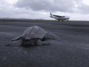 5 años Jairo Mora ¿cómo destruir su legado?