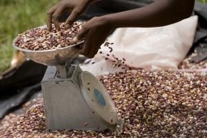 Países más pobres frente a una carga cada vez mayor: el coste de importar alimentos