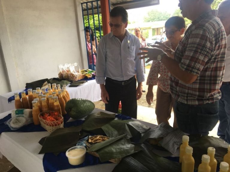 Consejo Presidencial de Economía Social Solidaria acoge segundo proyecto