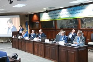 IICA y Oficina de la ONU para la Cooperación Sur-Sur trabajarán juntos por el desarrollo rural