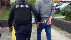 PCD desarticula potente narco estructura