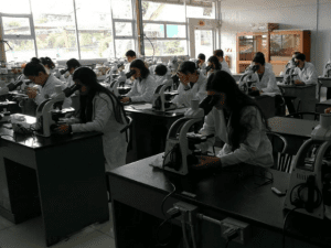 Sala Constitucional ordena protocolo contra el hostigamiento racista