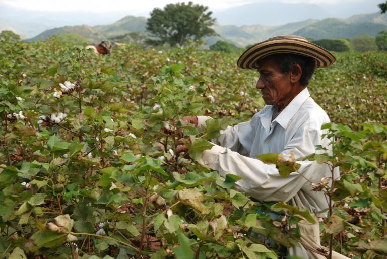 Gobierno de Argentina y FAO anuncian un foro internacional para debatir el futuro de la agricultura
