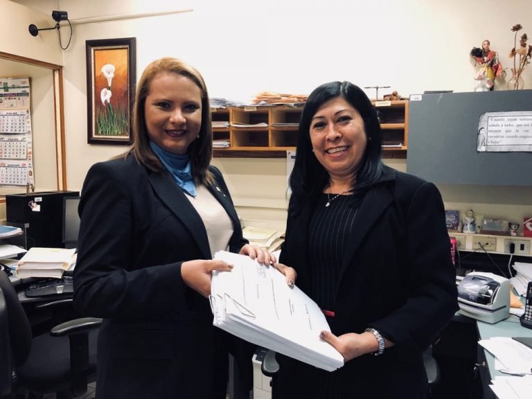 Carmen Chan es la diputada que más proyectos de ley ha presentado