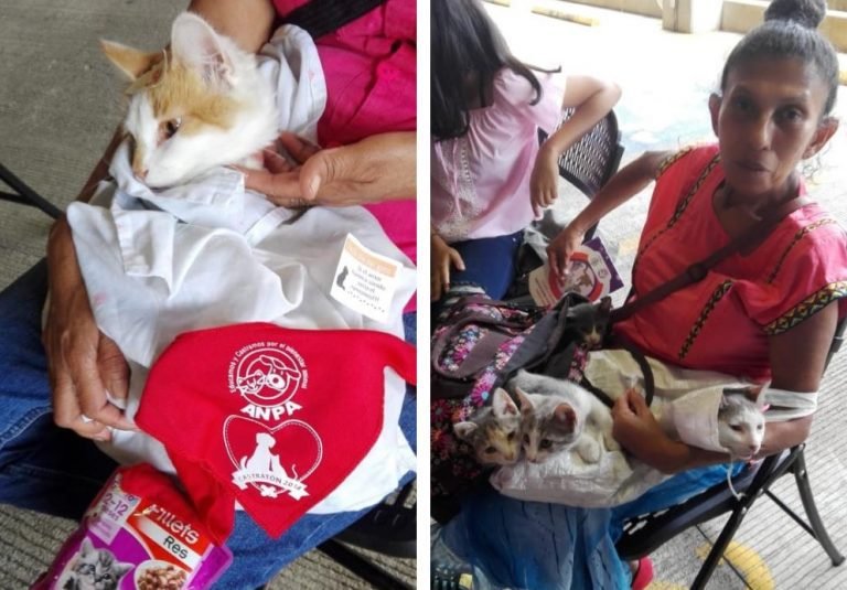 Estudiantes de secundaria desarrollan campañas de castración de mascotas en sus comunidades