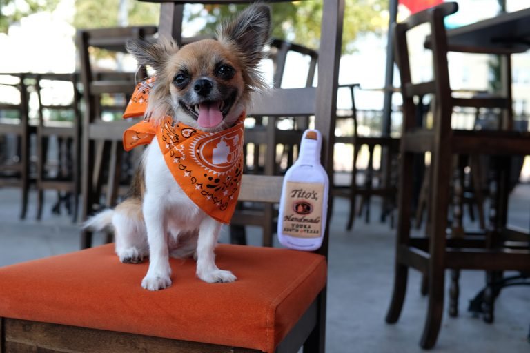 Tito’s Handmade Vodka busca mejorar la vida de cientos de perros de Territorio de Zaguates