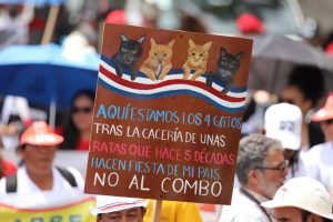 Gobierno de Carlos Alvarado es “una vergüenza y una decepción” asegura Gloria Valerín