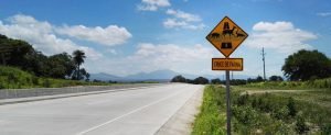 MOPT instala señalización que advierte presencia de fauna silvestre en vías nacionales