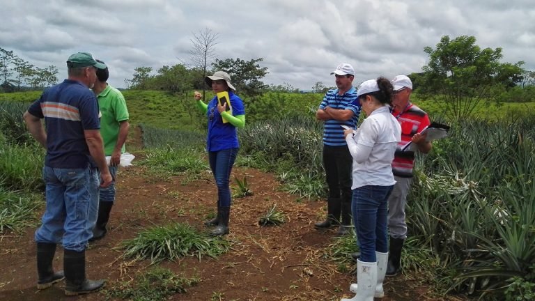 Gobierno inspecciona fincas agrícolas en el sector de Río Cuarto