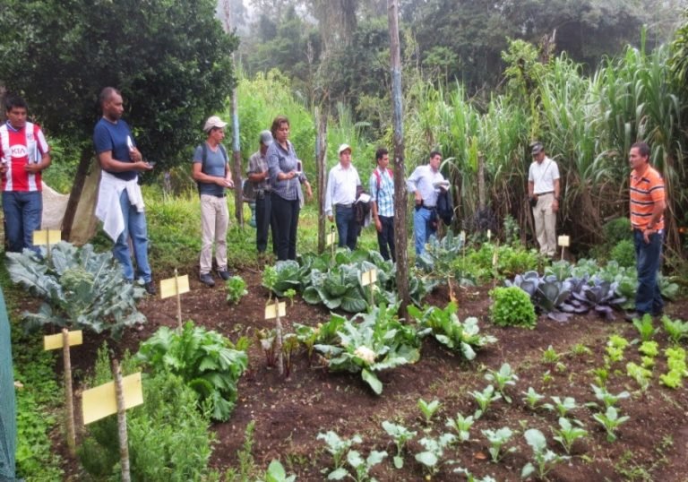 Costa Rica asumirá plataforma del Sistema Mejoramiento de Vida promovido por Japón