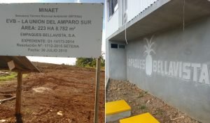 Obreros de piñera Empaques BellaVista fundan sindicato para reclamar aguinaldo