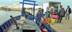 Un preciado litoral: cómo adaptarse al cambio climático en Túnez