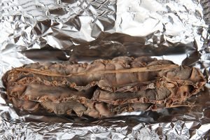 Vídeo: Un cactus milenario y alucinógeno