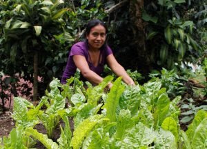 Las olas de calor y las inundaciones afectan de forma diferente a las mujeres y los hombres rurales y aumentan la brecha de ingresos: Informe de la FAO