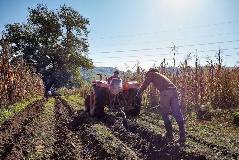 Agricultura mundial dispone de un nuevo instrumento para adaptación efectiva al cambio climático