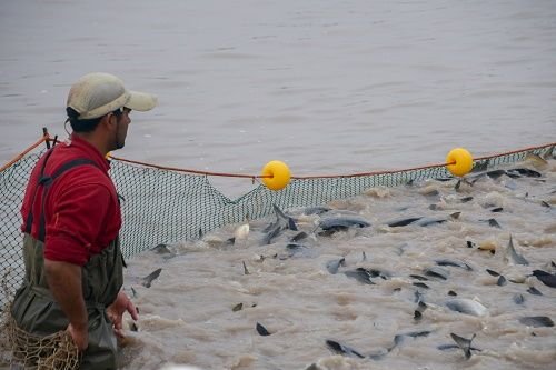 Nuevo informe genera esperanzas para la pesca en el Mediterráneo y el Mar Negro