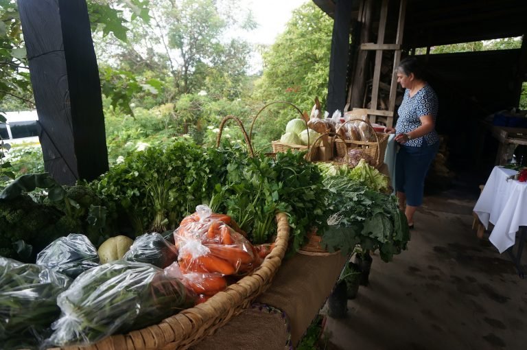 Costa Rica recibe distinción por su compromiso con el Decenio de Agricultura Familiar 2019-2028