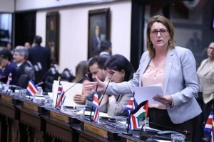 Diputada cumple 5 días de pie en el Plenario para protestar contra norma técnica