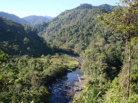 Ordenan detención de miembros de Asociación de Desarrollo de territorio indígena Guaymí por presunta estafa