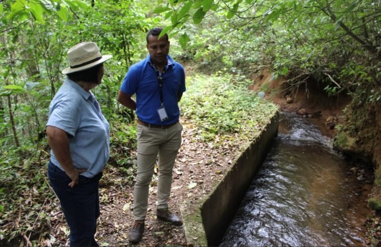 Guanacaste necesita planes de contingencia ante la sequía, asegura Aida Montiel