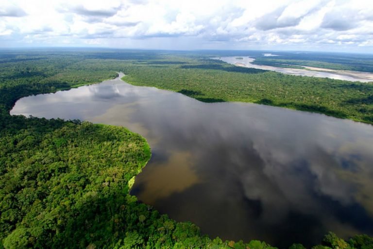 Presidentes se reúnen buscando salvar la Amazonía