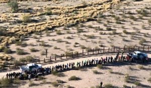 EEUU: Detenidos 103 centroamericanos en frontera en Arizona